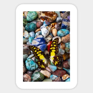 Yellow And Black Butterfly On Polished Stones Sticker